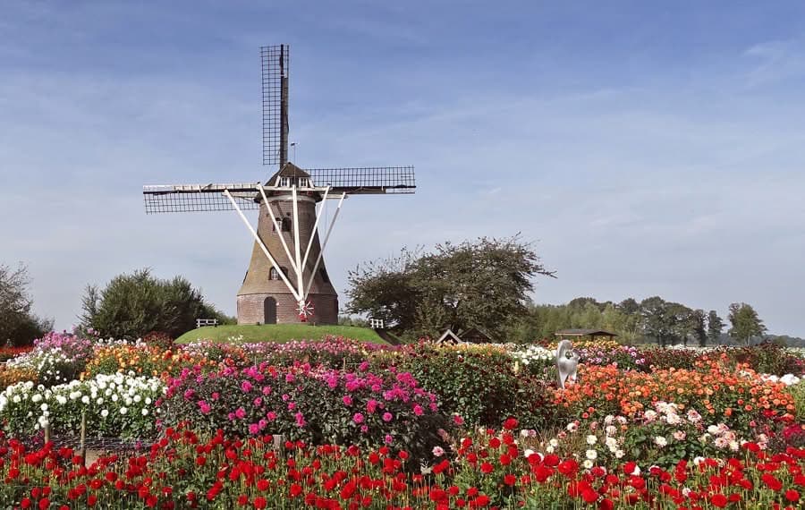 đź’› Een mooie bijdrage uit Rekken!
